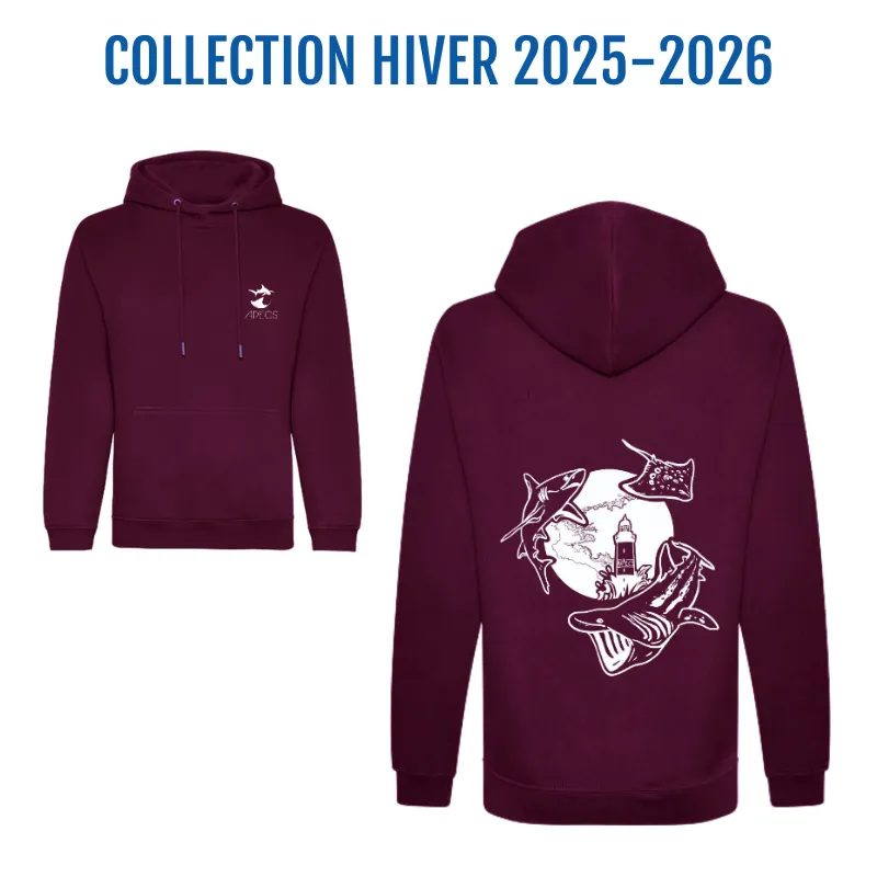 Sweat-shirt unisexe - coton bio - requins & Bretagne