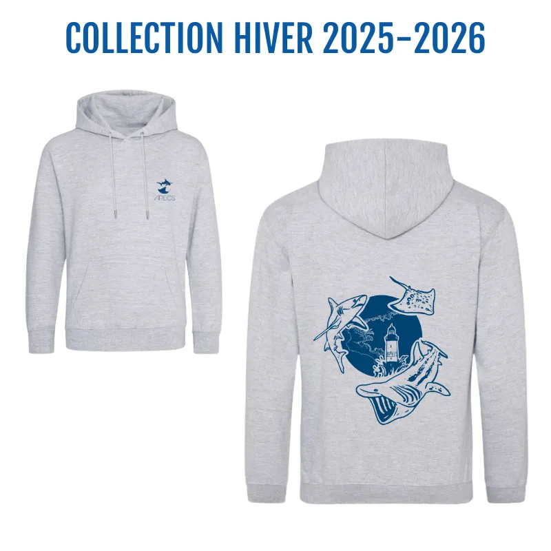 Sweat-shirt unisexe - coton bio - requins & Bretagne