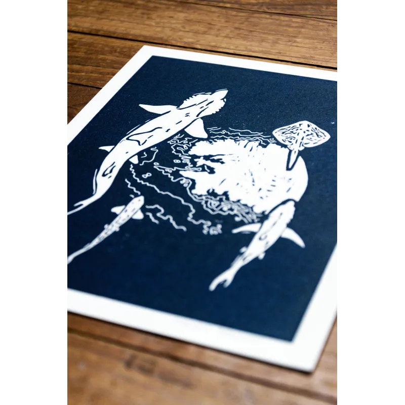 Linogravure raies et requins