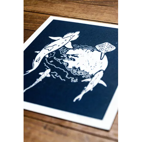 Linogravure raies et requins