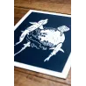 Linogravure raies et requins