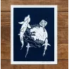 Linogravure raies et requins